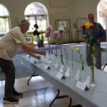 2026 Magic Valley Iris Show
